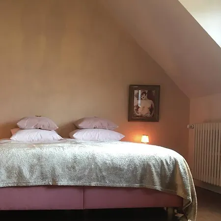 Elsa Bed and Breakfast