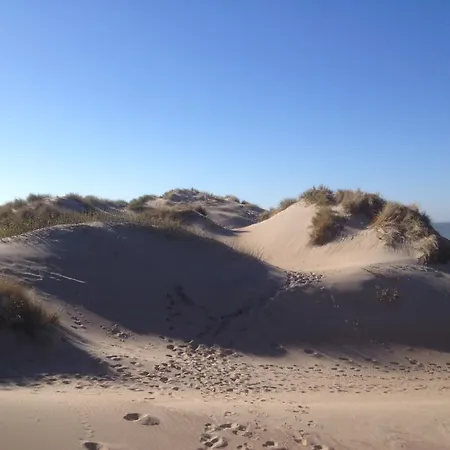 Elsa Bed and Breakfast Oostduinkerke
